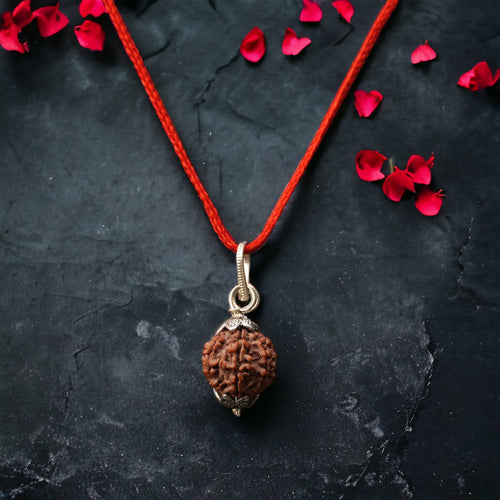 7 Mukhi Nepali Rudraksha - Saat Mukhi